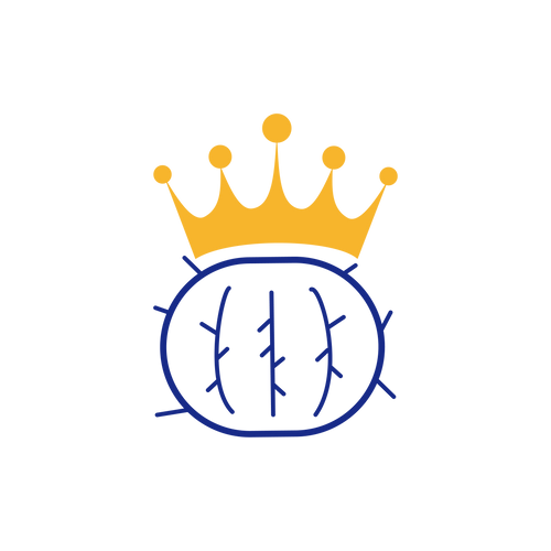 Láns